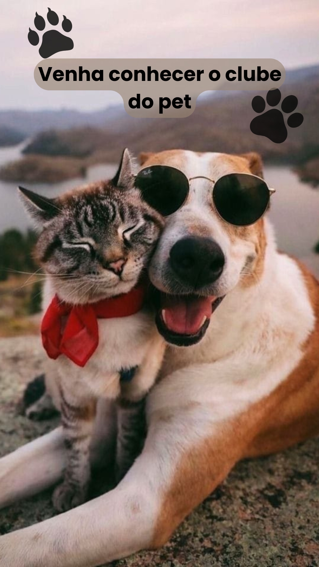 Clube do Pet Shopito