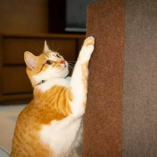 SH73 - Arranhador Adesivo para Gatos - Imagem 4