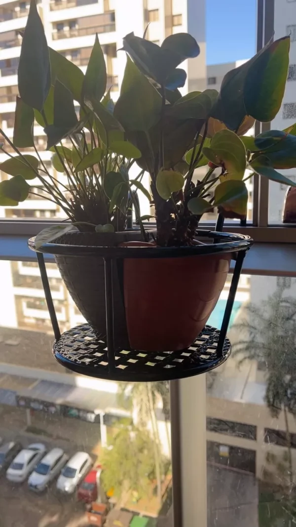 SH154 - Suporte Para Vasos De Flores De Parede - Imagem 4